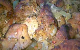 Мясо с луком в духовке: варианты приготовления, рецепты