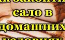 Техника копчения мясных продуктов
