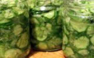 Огурцы на зиму в банках – 14 самых вкусных рецептов