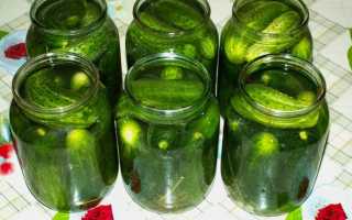 Консервированные огурцы в литровых банках — рецепты на любой вкус