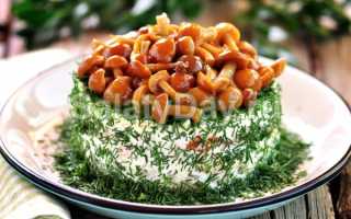 Рецепты вкусных салатов с шампиньонами и корейской морковью